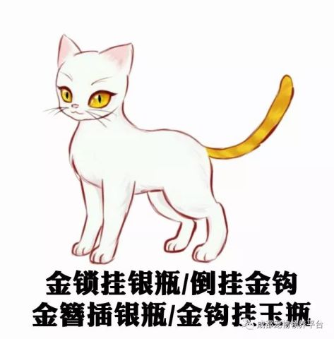 猫来了简谱_喵