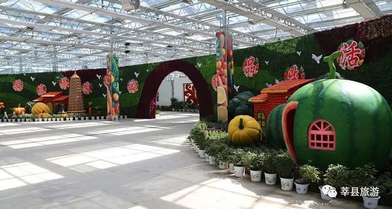 【莘县旅游】到莘县必看的旅游景点,你都去过了吗?