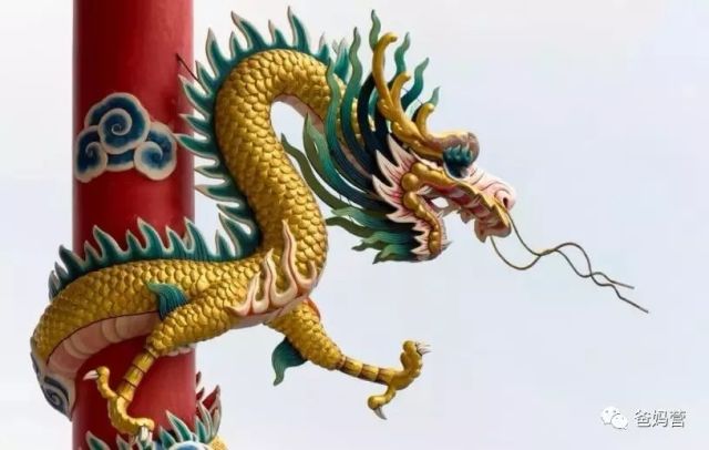 2014年龙宝宝什么命 2014年龙宝宝真的"命好"？拆解生肖背后的教育迷局