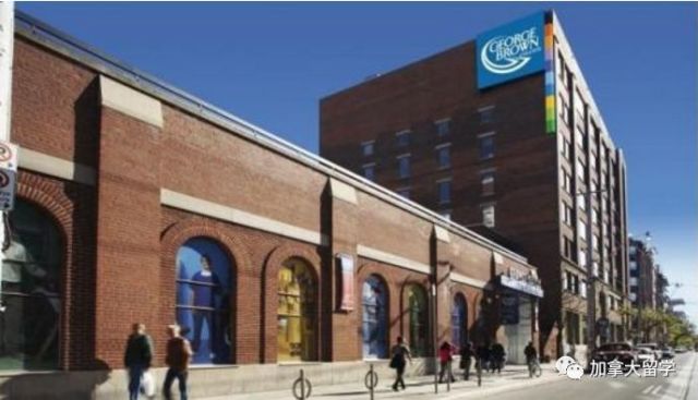 加拿大艺术大学排名_加拿大多伦多大学