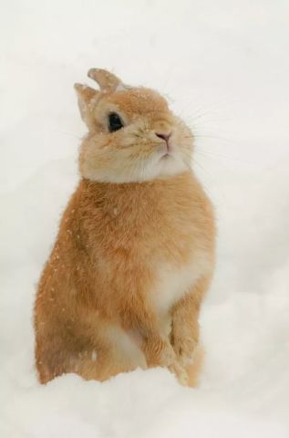 640