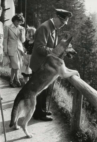 狗年话狗,混世魔王竟然也是爱狗人士,阿道夫·希特勒和他的爱犬,珍贵