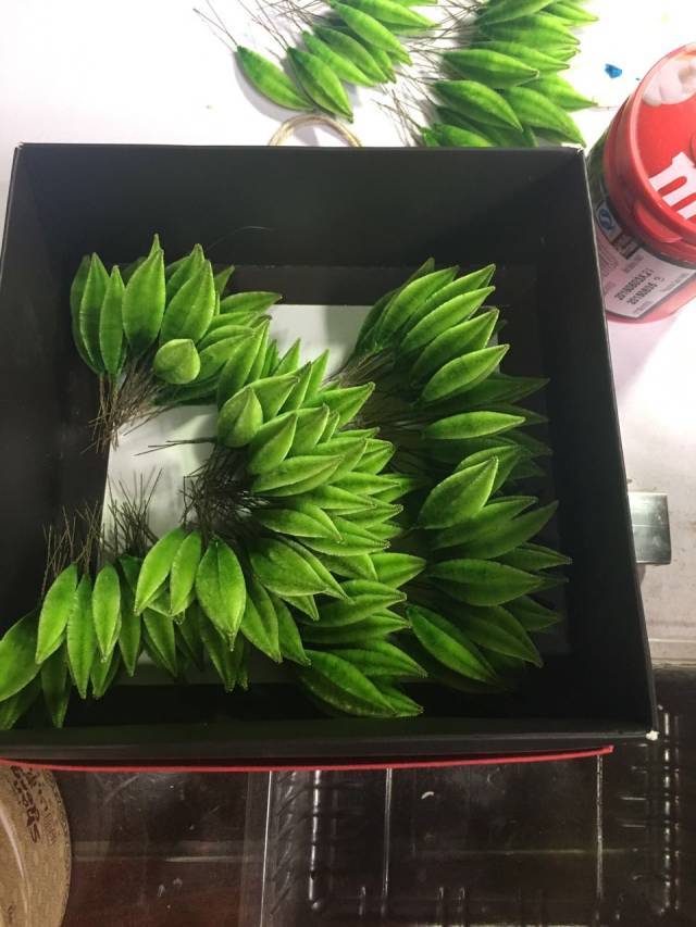 ͼƬ
