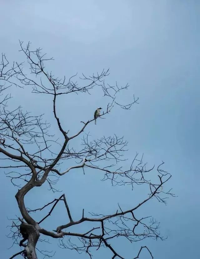 此风不可长 腾讯网