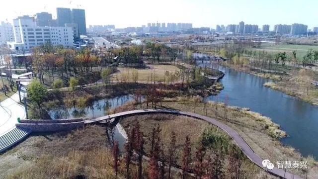 泰兴市有多少人口_开车人要注意,泰兴城区这两个路口要小心(3)