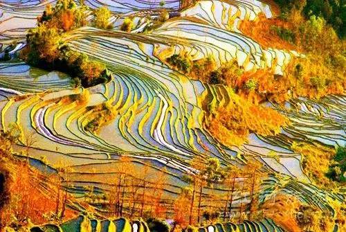 元阳人口_元阳梯田