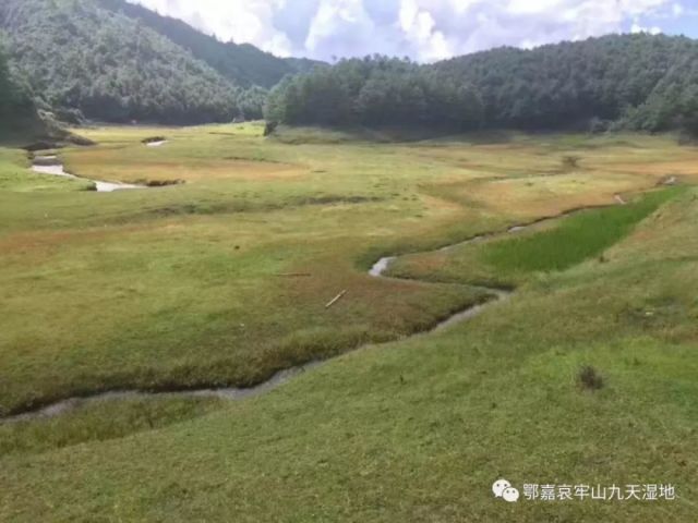 鄂嘉哀牢山九天湿地,大草坝,美得妙不可言!