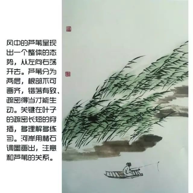 国画入门教程|芦苇的画法