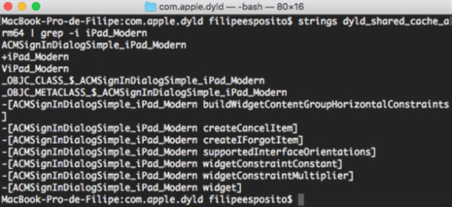 ����ļ���ʾƻ�����ڽ��귢������ȫ��iPad