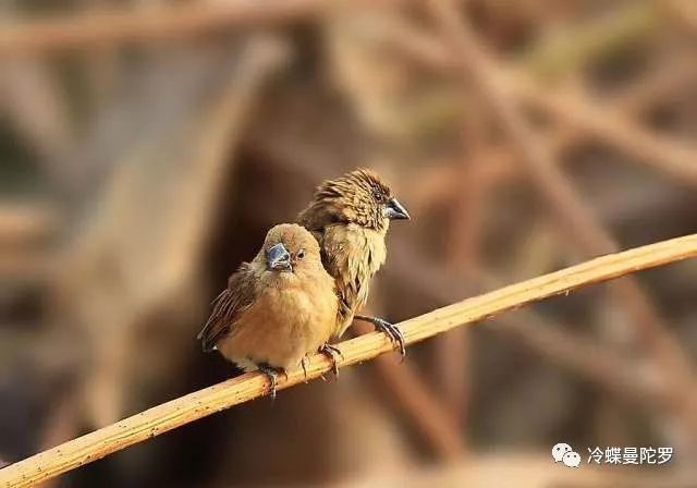 吃完晚饭猜成语_吃完晚饭卡通图片(2)