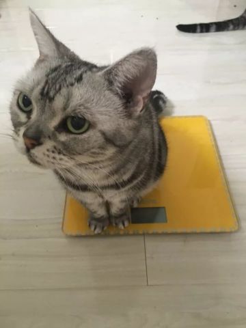 640