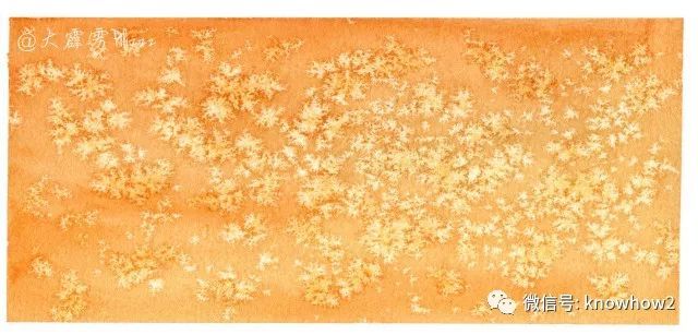 水彩盐花是什么原理_水彩盐花效果图