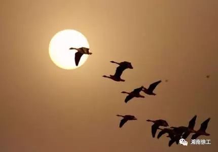 什么烛残年成语_成语故事简笔画(2)