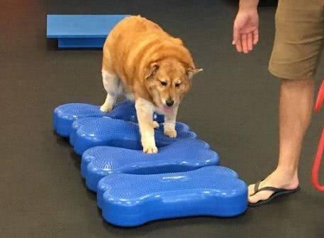 640