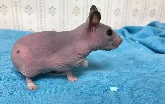 640