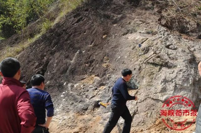 速围观！永泰深山惊现神秘符号！外星人？史前 人类？