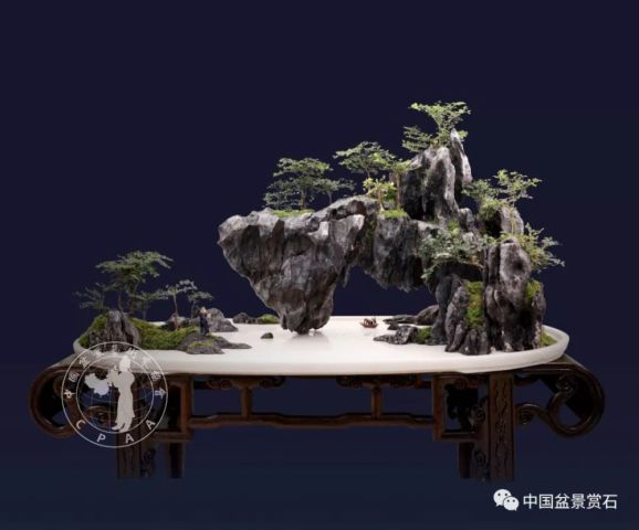 俱往矣,数山水盆景,还看靖江