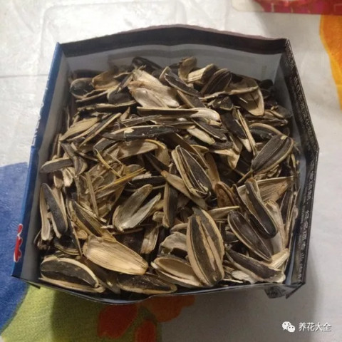 640