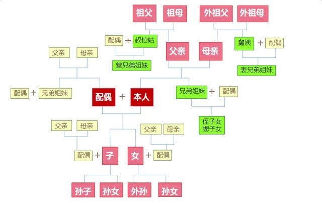 图中——粉色为直系血亲;绿色代表三代以内旁系血亲;黄色代表近姻亲