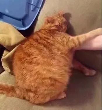 640