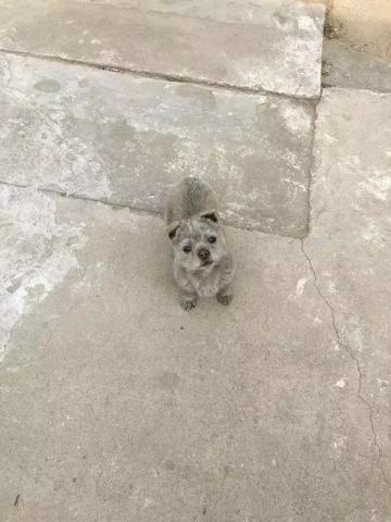 640