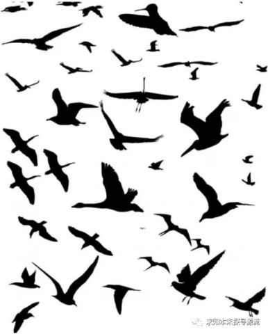 惊弓之鸟这个成语常用来比喻什么_惊弓之鸟成语故事配图(3)