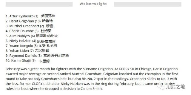 羽量级排名_康纳·麦格雷戈羽量级(2)