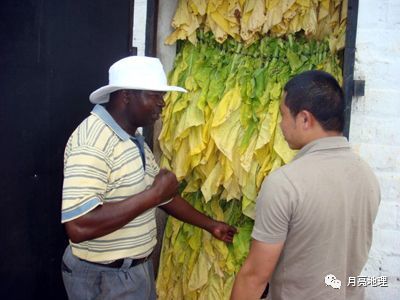 地理视野世界最穷的国家排名最穷国家津巴布韦现状走进世界的黄金烟田