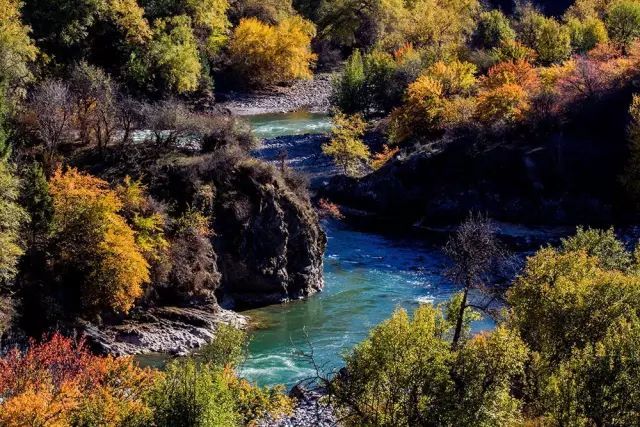 美丽新疆——伊犁河谷的秋天67