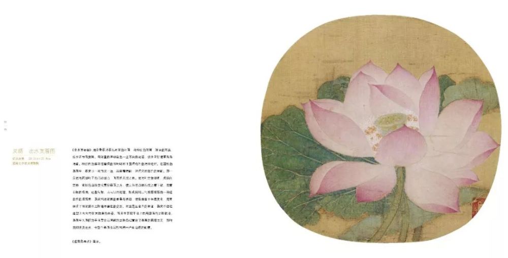 出水芙蓉图(局部)这幅《出水芙蓉图》传为画家吴炳的作品,画家几乎是