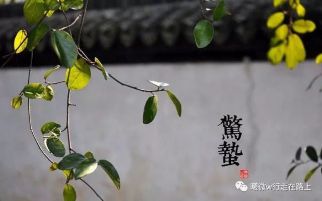 读唐代诗人元稹二十四节气诗之 《惊蛰二月节》