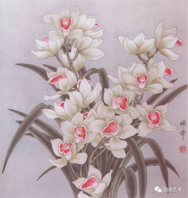 图文教程:工笔兰花画法步骤