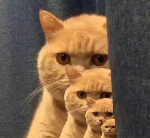 640