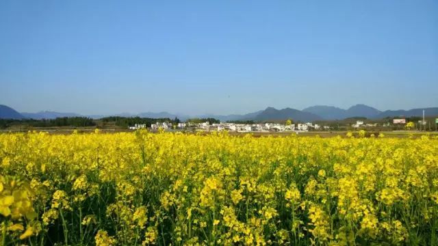 安康市人口有多少人口(2)