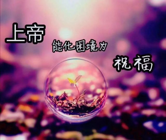 基督才德的女子【美图美文集】