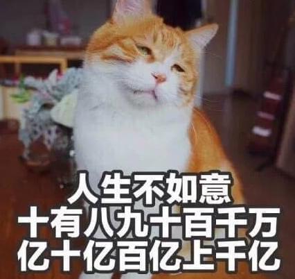 我们都知道,猫是一种神奇的生物,在我们的生活中,我们也经常见到