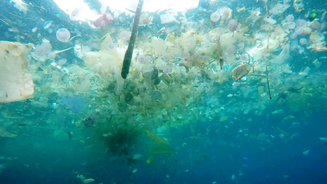 潜水爱好者潜入印尼塑料垃圾海洋,污染触目惊