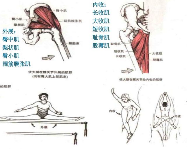 髋关节查体方法汇总