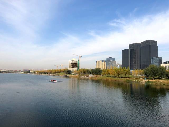 龙子湖水景