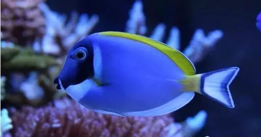 640
