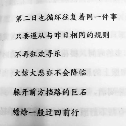 人间失格简谱_人间失格数字简谱(2)