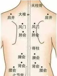 肝俞和脾俞均属足太阳膀胱经,两穴均位于脊柱区.