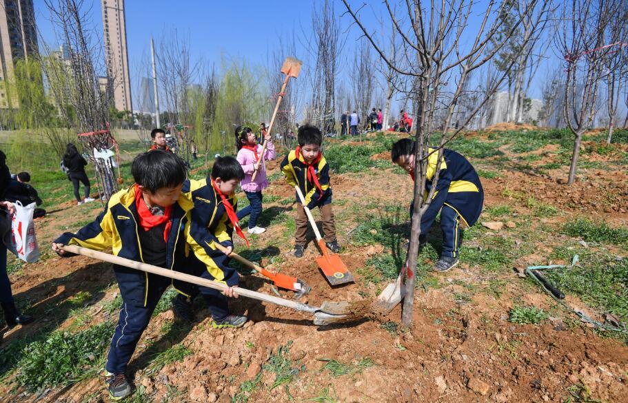 环保从娃娃抓起 水二小学生义务植树热传朋友圈