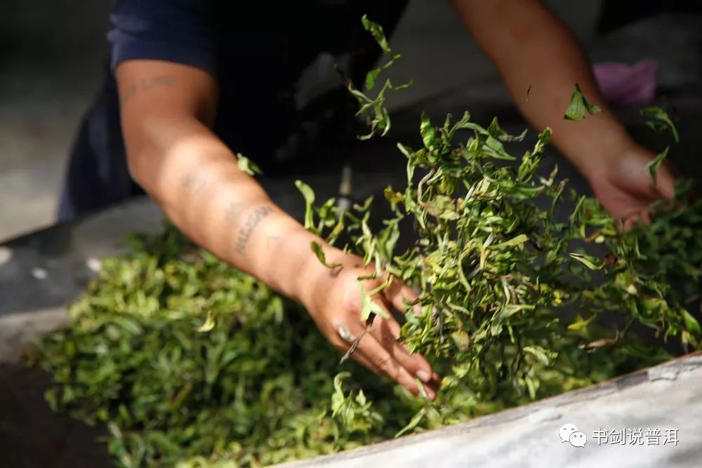 高温烘干茶叶.