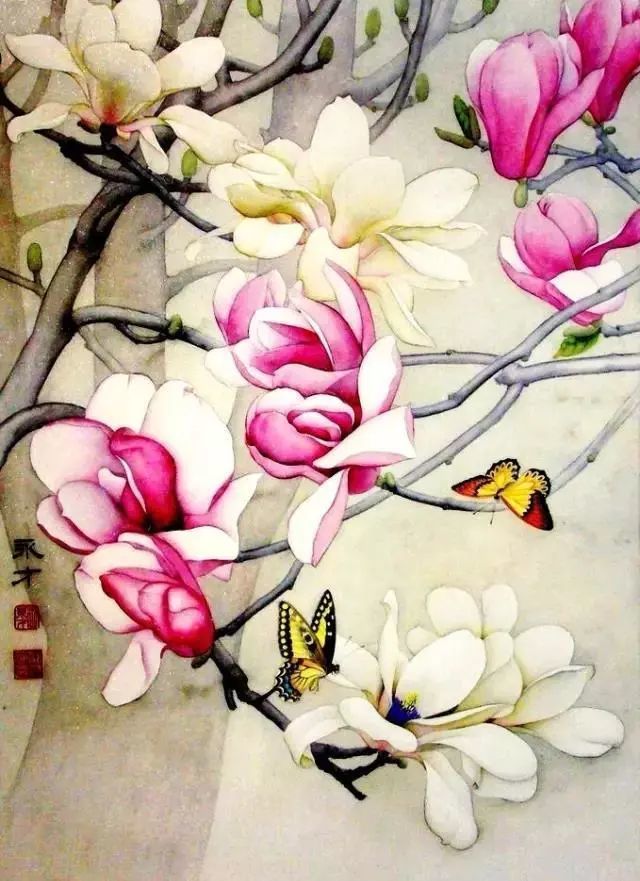 唯美国画:玉兰花儿开
