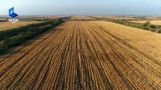 大块头大智慧:让世界称赞的中国大型工程