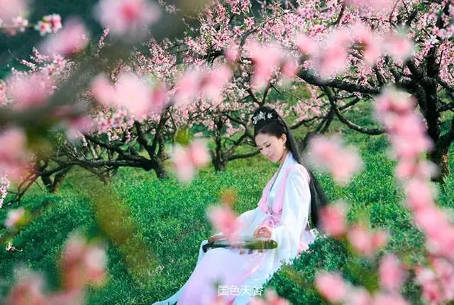 折枝桃花醉相思