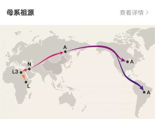 单倍群l人口_世界y单倍群人口分布