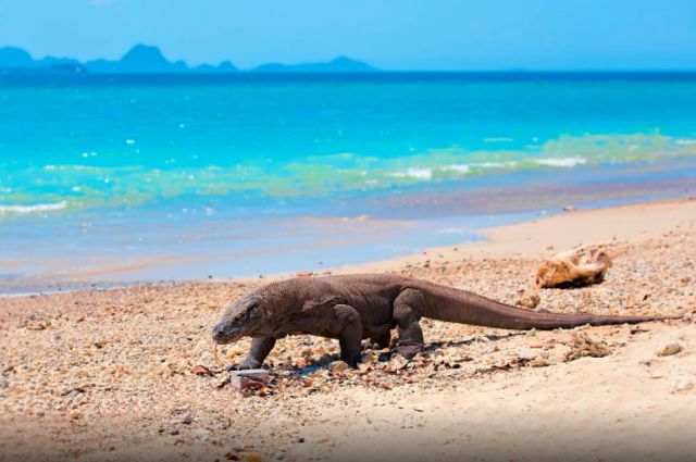 640