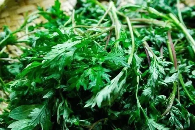 约吧!秦皇岛要挖野菜的赶紧看看